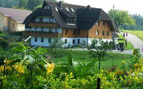 Ferienbauernhof-Holops